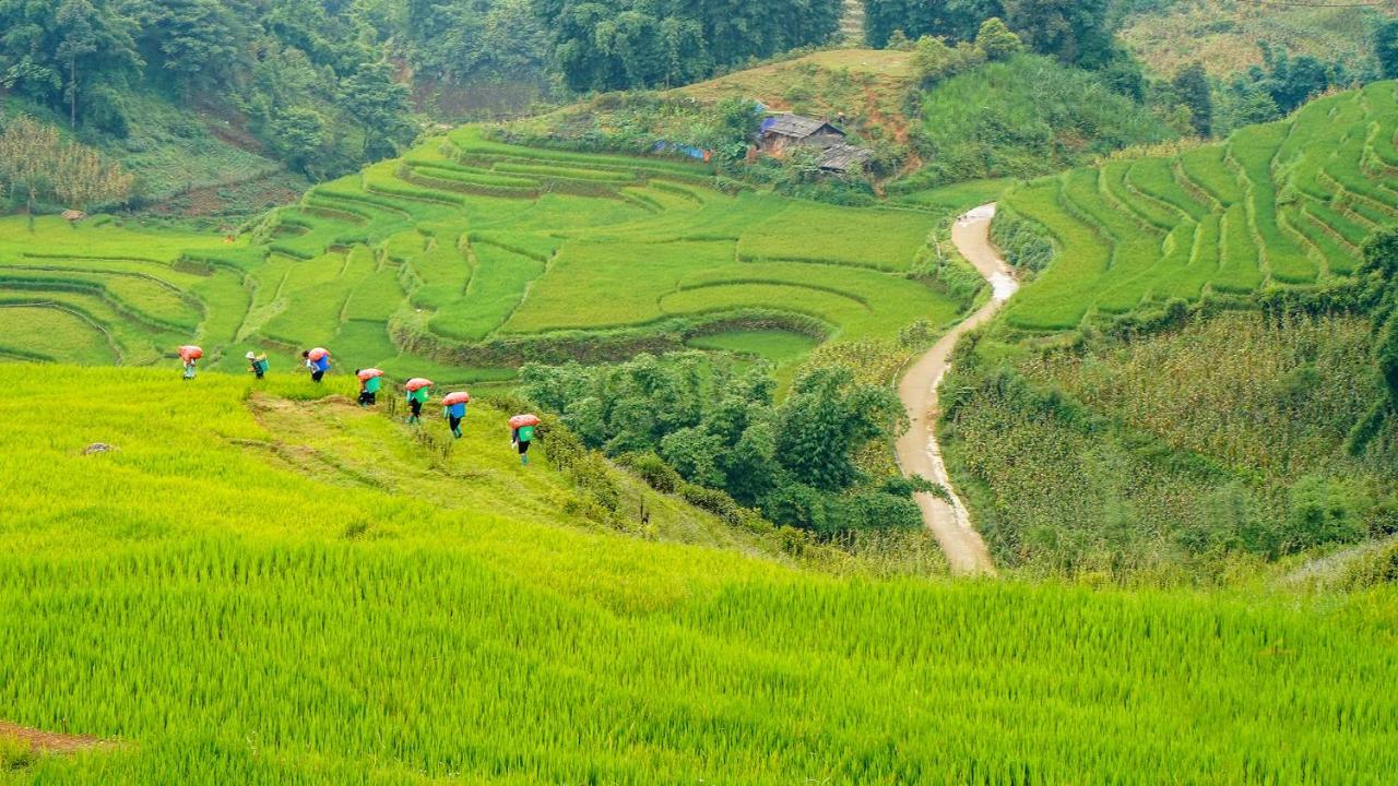 Sapa Fantasea Homestay ภายนอก รูปภาพ