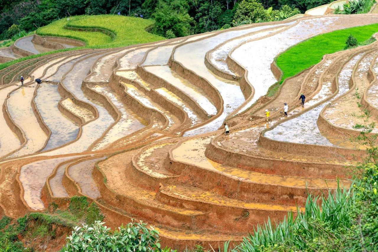 Sapa Fantasea Homestay ภายนอก รูปภาพ